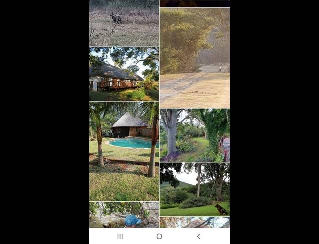 FARM FOR SALE IN NELSPRUIT RURAL